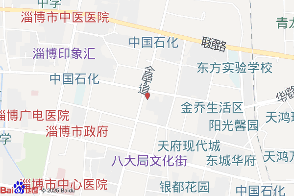 淄博文化艺术城实景图