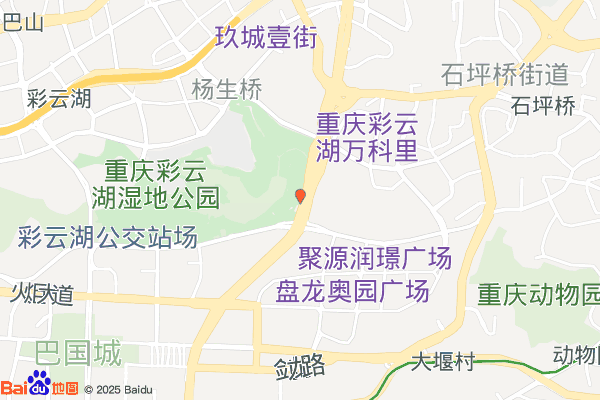 重庆九龙坡区 厂房出租2500㎡ 钢混结构 全新 空地大实景图