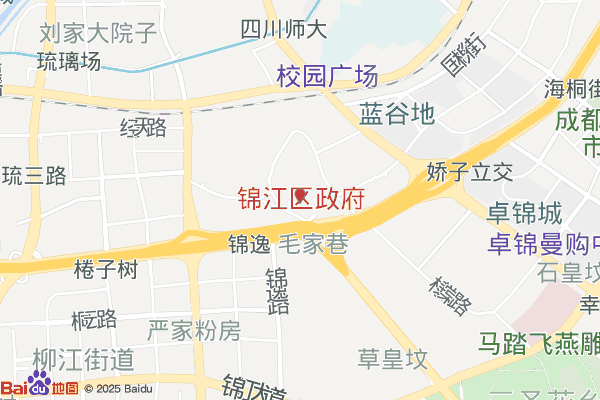成都锦江新兴传媒功能区