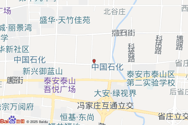 泰安山东泰山经济开发区