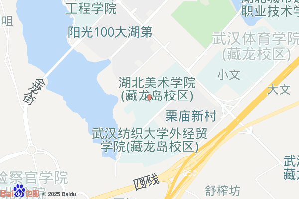 江夏经济开发区藏龙岛办事处实景图