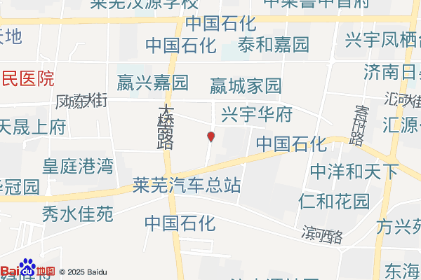 济南市莱芜高新区亮信商贸中心实景图