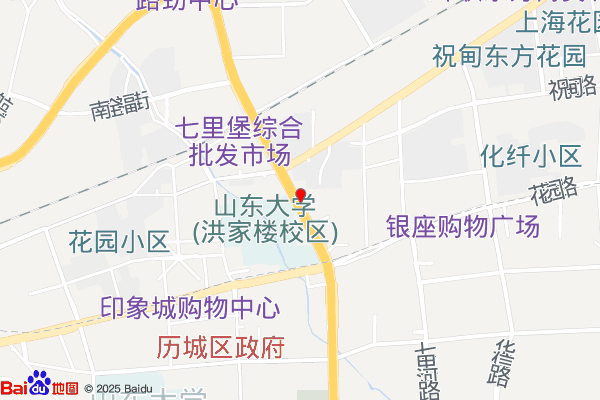 泰山兴邦济南国际贸易商务中心实景图
