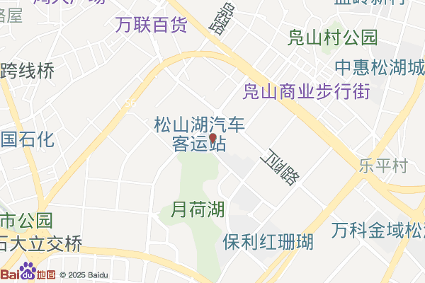 中共松山湖高新区工委实景图