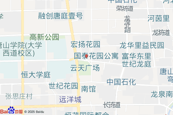 高新区街道实景图