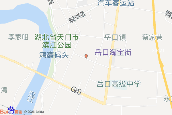 429006天门市岳口工业园实景图