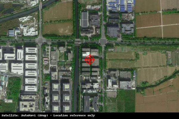 冠瑞(上海)医疗科技产业园卫星位置示意图