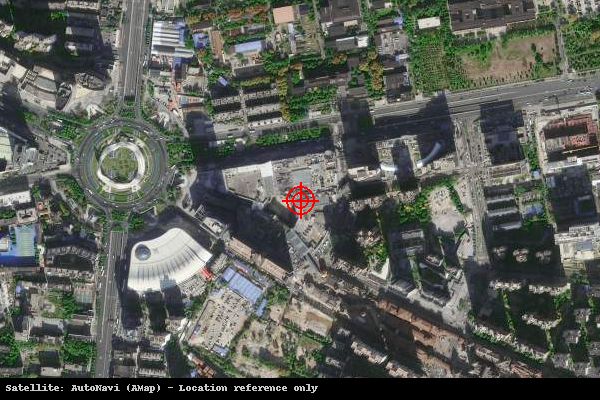 光谷.芯中心II期(中国光谷文化创意产业园)卫星位置示意图