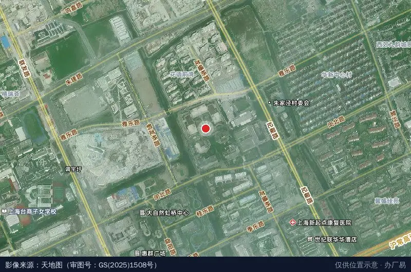 上海华漕经济城卫星位置示意图