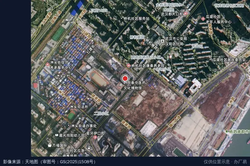 武汉中医药产业园(汉阳)卫星位置示意图