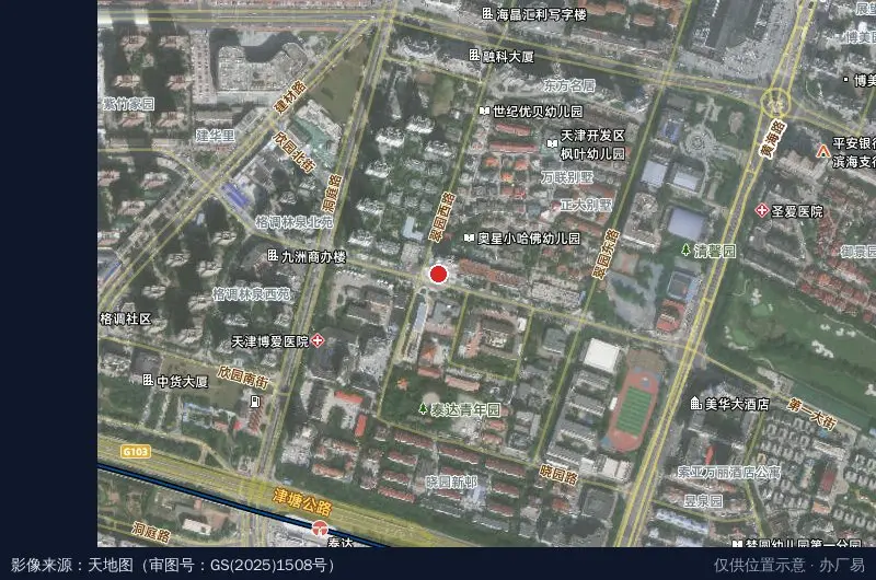天津开发区慈善协会卫星位置示意图