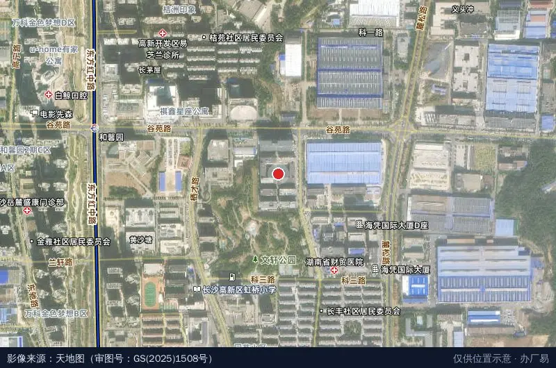 海凭国际(麓谷)医疗器械产业园卫星位置示意图