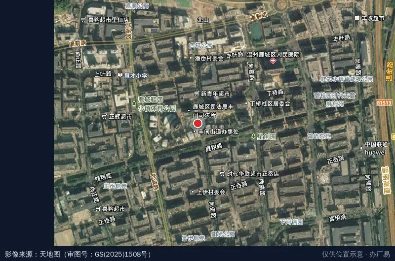 温州鹿城总部经济基地卫星位置示意图