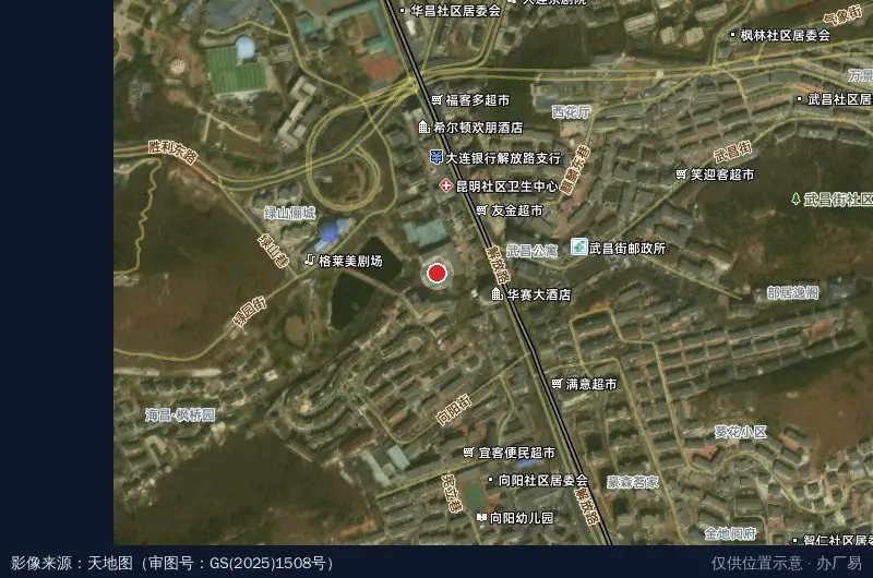 中山区医疗器械产业园卫星位置示意图