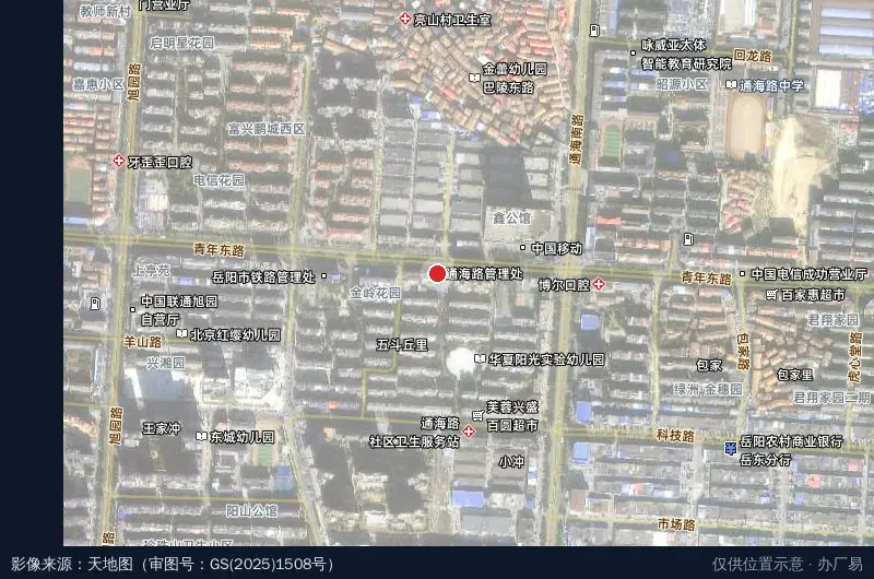 岳阳市经济技术开发区通海路管理处卫星位置示意图