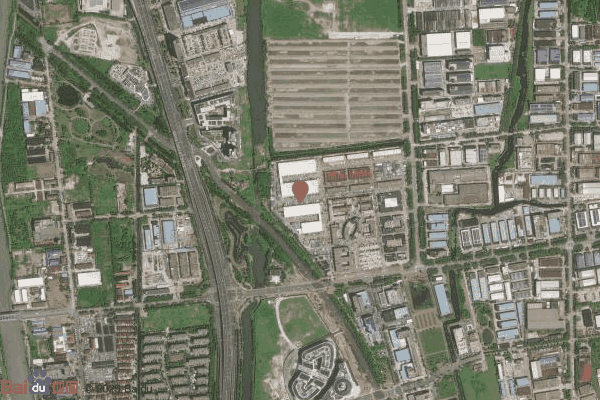 福财树板材实景图（2）