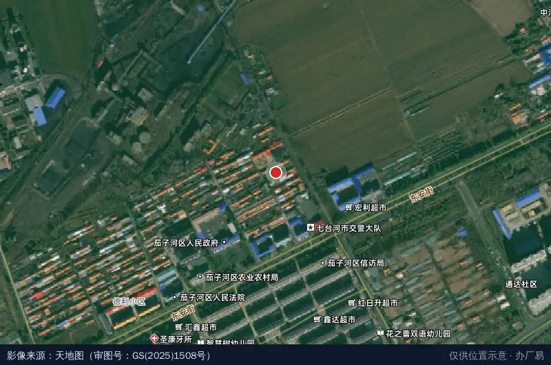七台河市茄子河区电子商务创业园-东北门卫星位置示意图