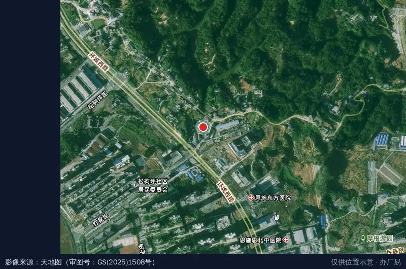 菜大师硒都产业园卫星位置示意图