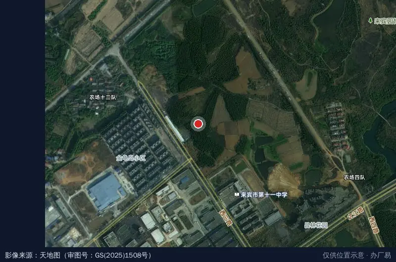 广西中沛电子信息产业园卫星位置示意图