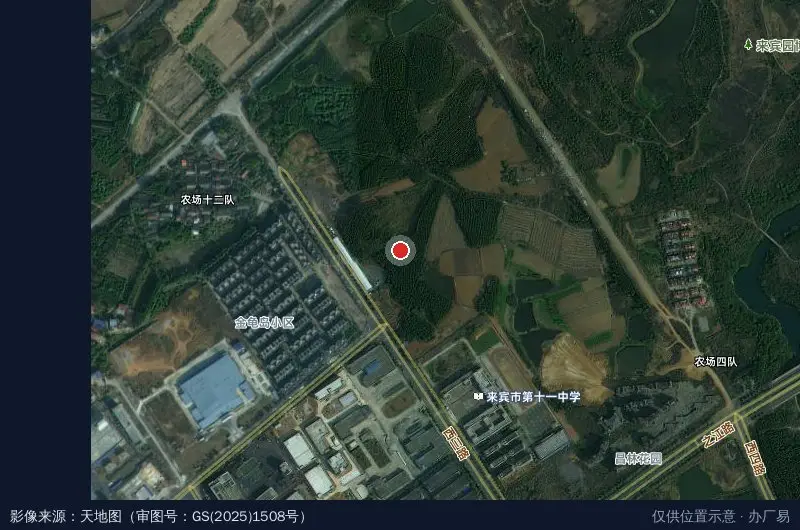 广西中沛电子信息产业园-东南门卫星位置示意图