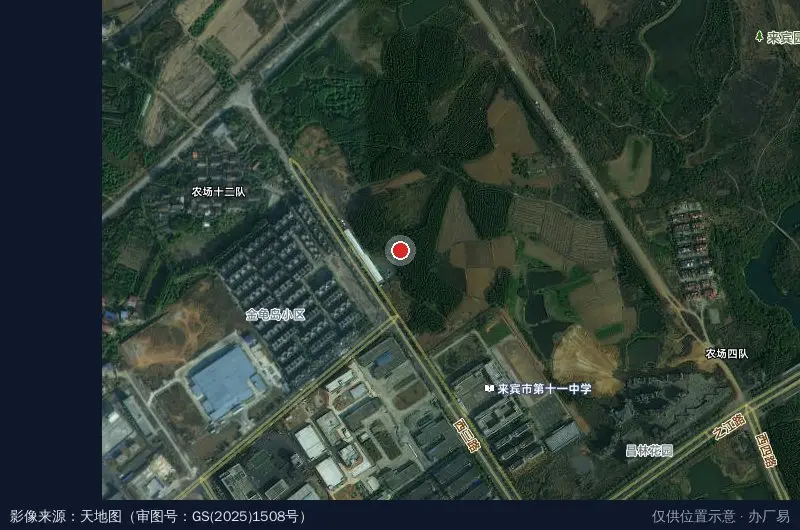 广西中沛电子信息产业园-东南1门卫星位置示意图