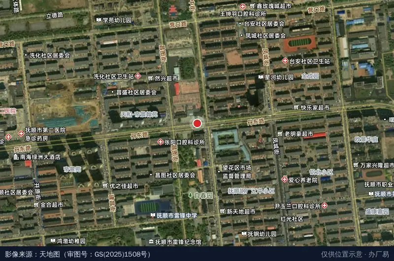 抚顺市望花区行政审批局卫星位置示意图