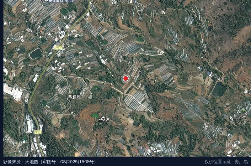四川米易白马工业园区石材工业区卫星位置示意图