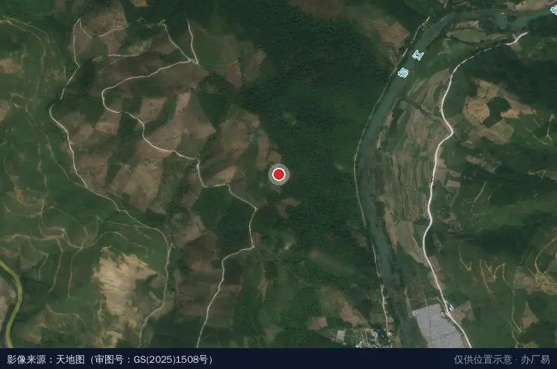 广西奥林木业工业园卫星位置示意图