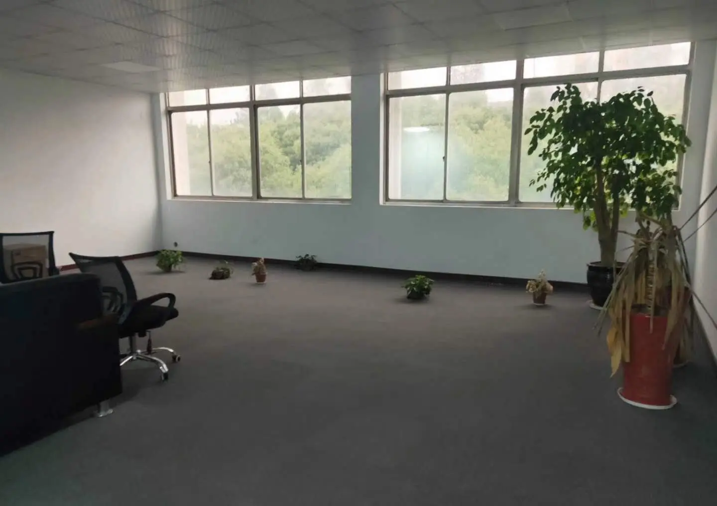 Factory Building For Lease · Shenzhen
