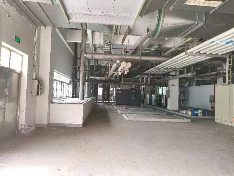 国土60亩工业厂房 建面60046㎡ 丙类消防 整体出售实景图(3)