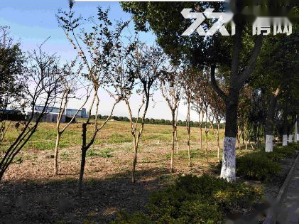 常熟市土地实景：苏州常熟支塘东南开发区工业用地出售（第2张）