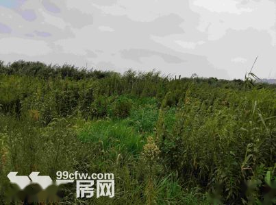 常熟市土地实景：常熟市古里镇工业用地出售 6.66万㎡（第3张）