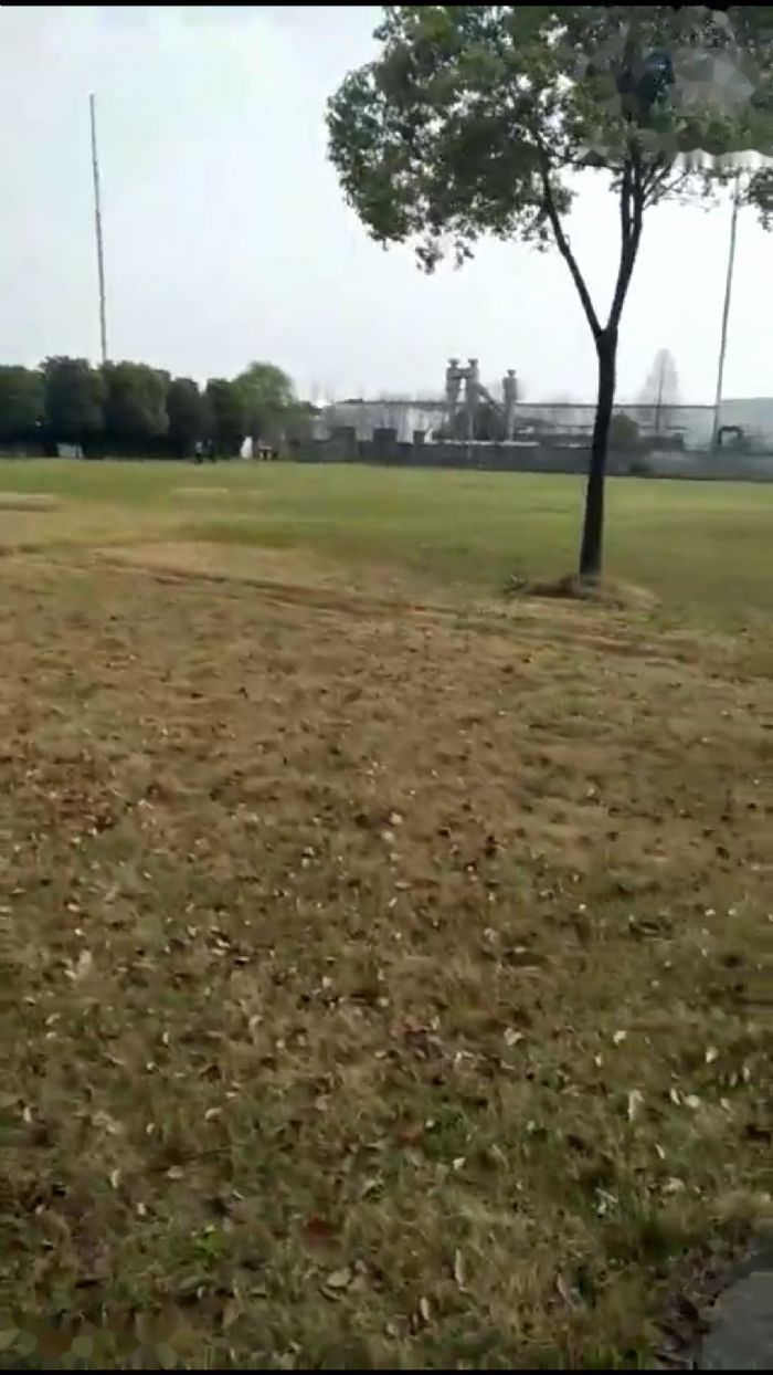 花桥镇土地实景：昆山花桥312国道工业用地出租 5000㎡（第3张）