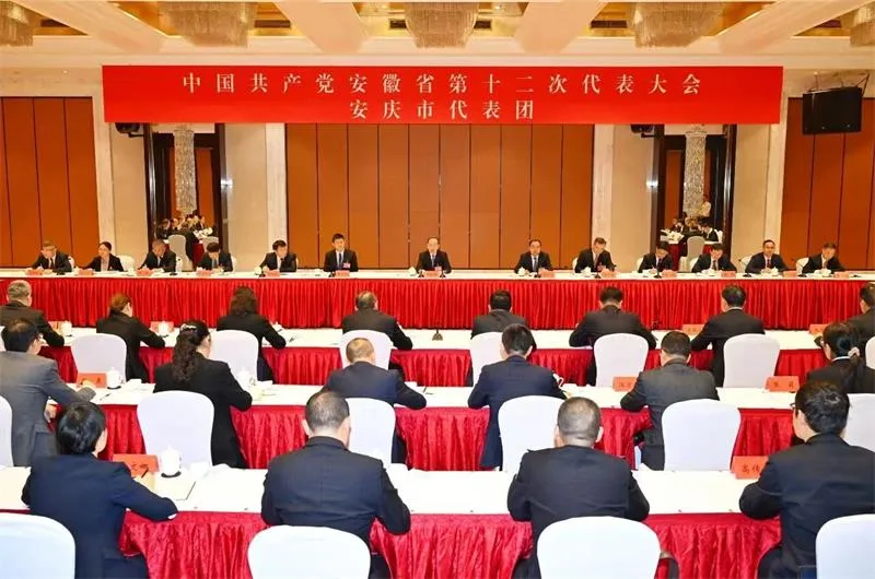 李乐成在参加安庆市代表团审议时强调 发挥比较优势勇于创先争优 加快走出一条符合安庆实际的高质量发展之路
